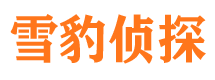 大足寻人公司